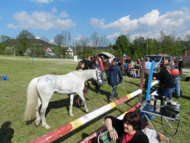 Rajd Mszana Górna 2015